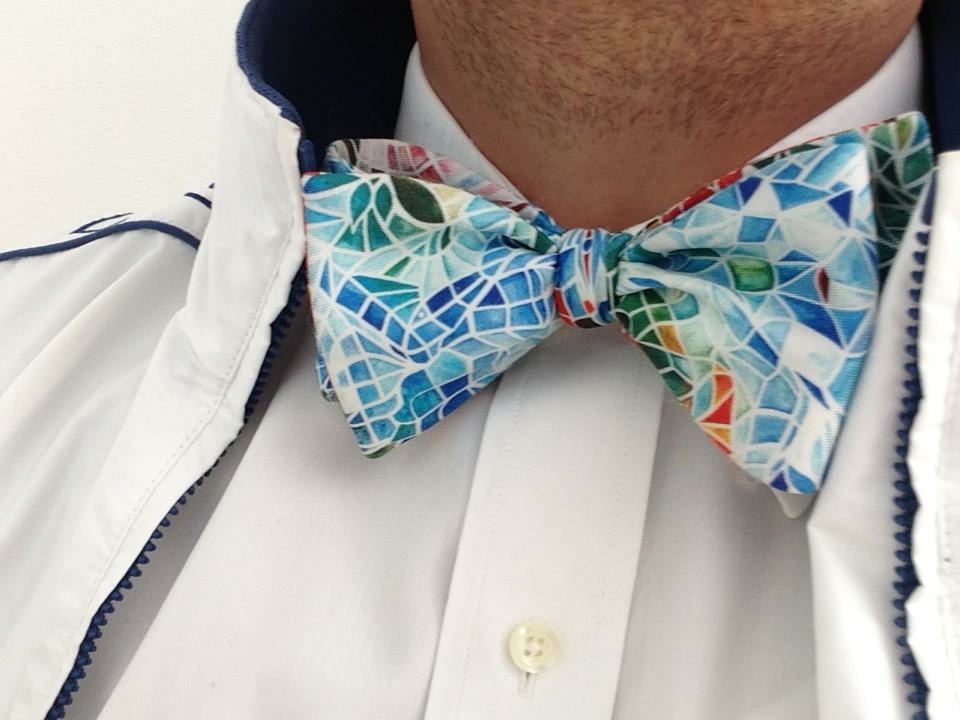 papillon Bow ties of Verm 143 KB